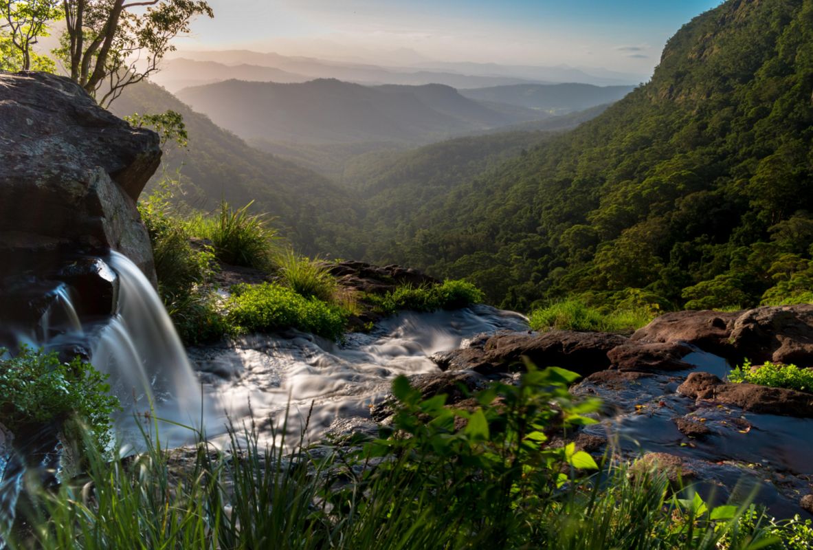 Национальный Парк Ламингтон