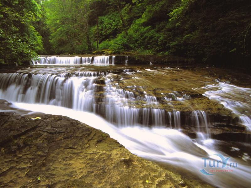Национальный Лесной Заповедник Сиусло (Siuslaw National Forest)