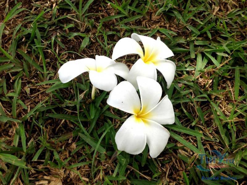 Деревня народных ремесел Домен де Валь де Пре