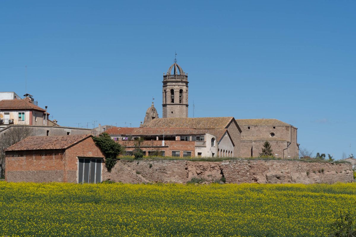 Пратс-де-Рей