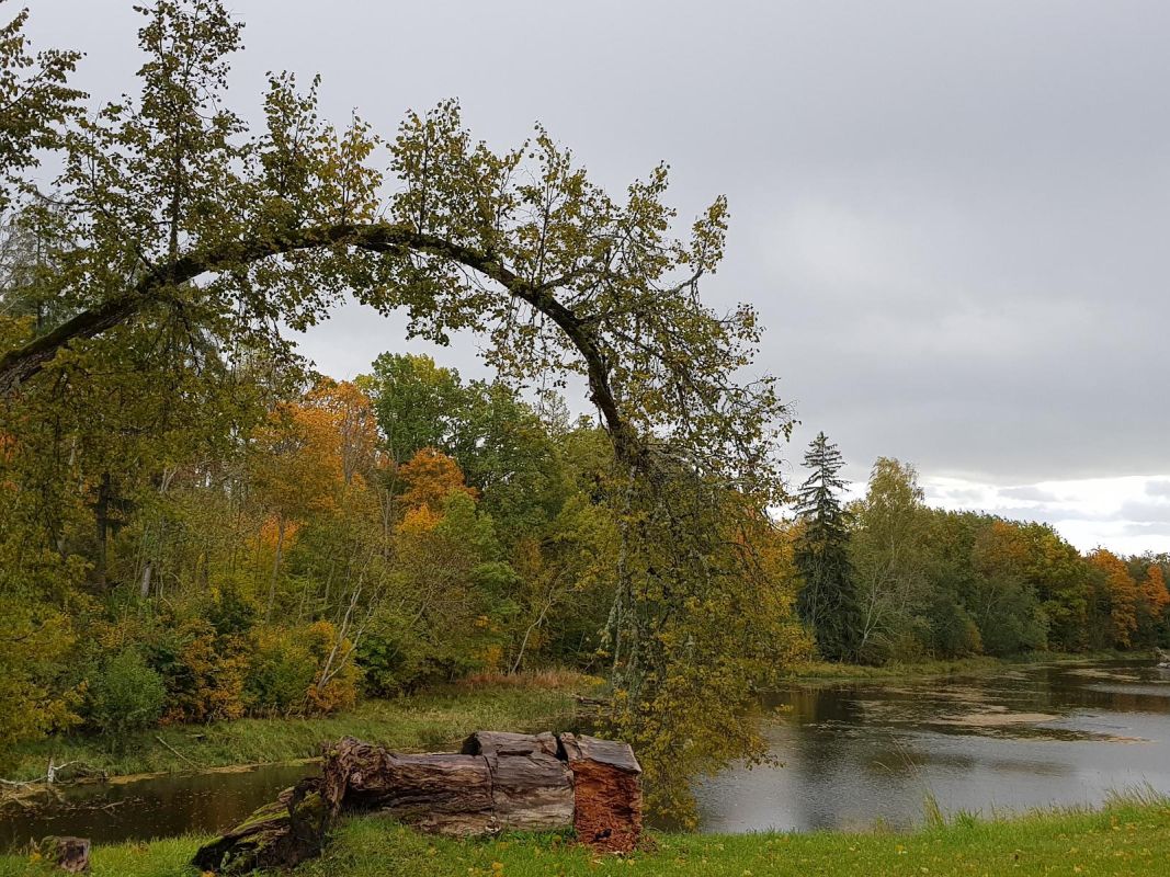 Мыза Лахмузе