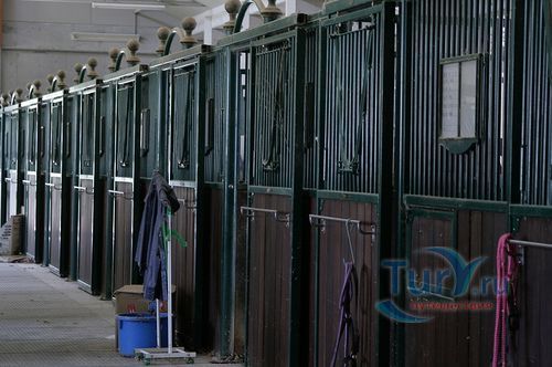 Парк Мики Хорслэнд