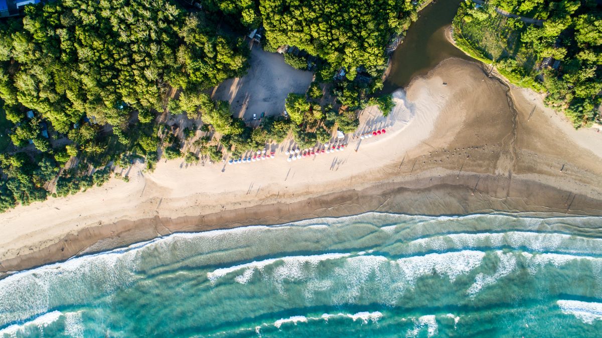 12 вдохновляющих направлений, которые соответствуют вашему китайскому гороскопу