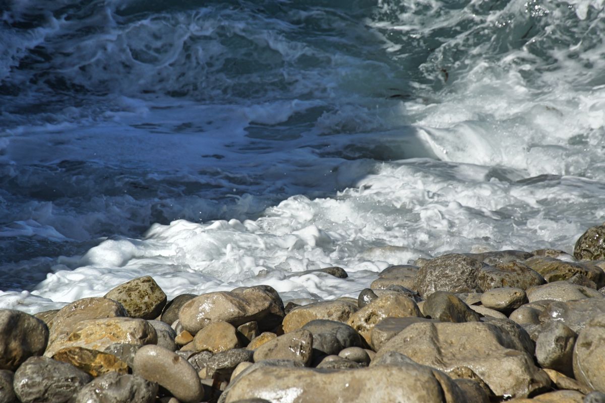 Камперван Дэй Парк