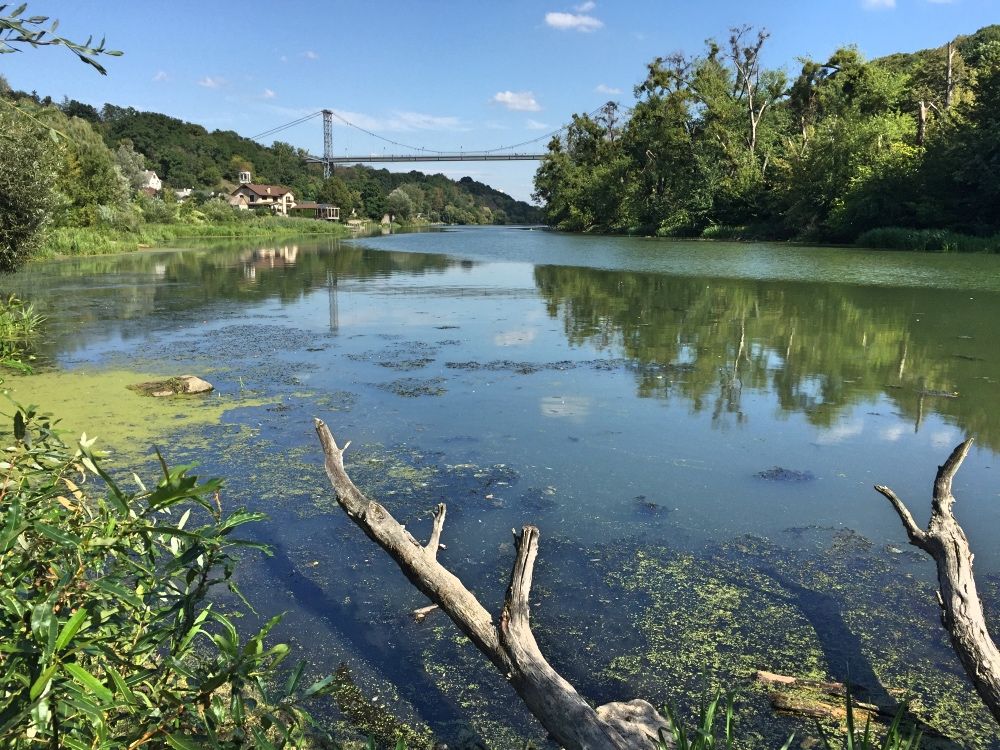 Река Тетерев