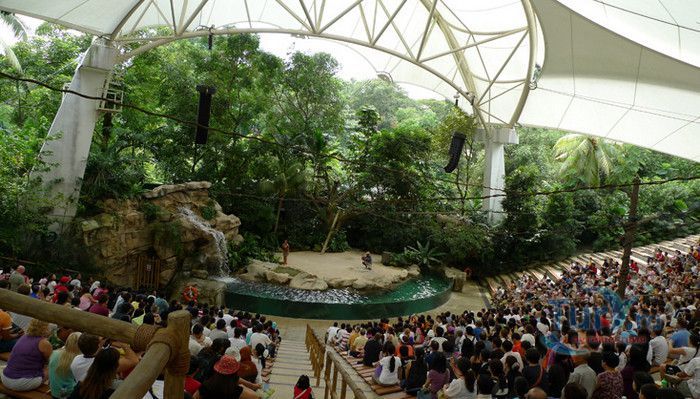 Сингапурский Зоопарк