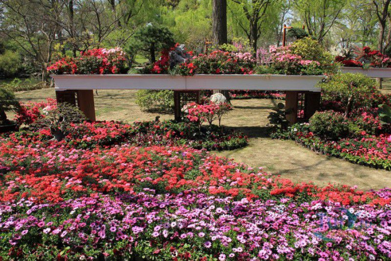 Сад Скромного Чиновника (Чжочжэнъюань)