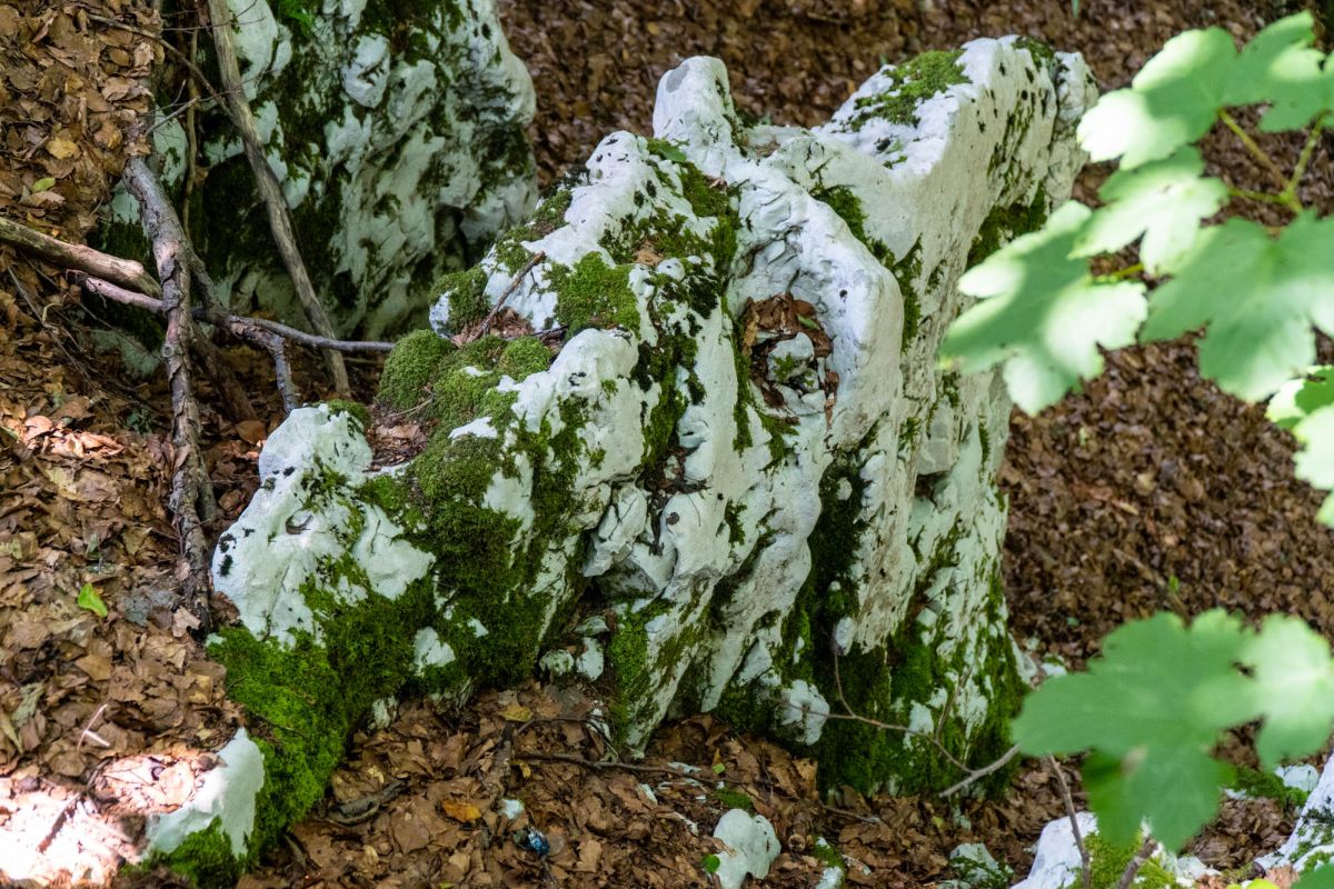 Национальный парк Плитвицкие озера