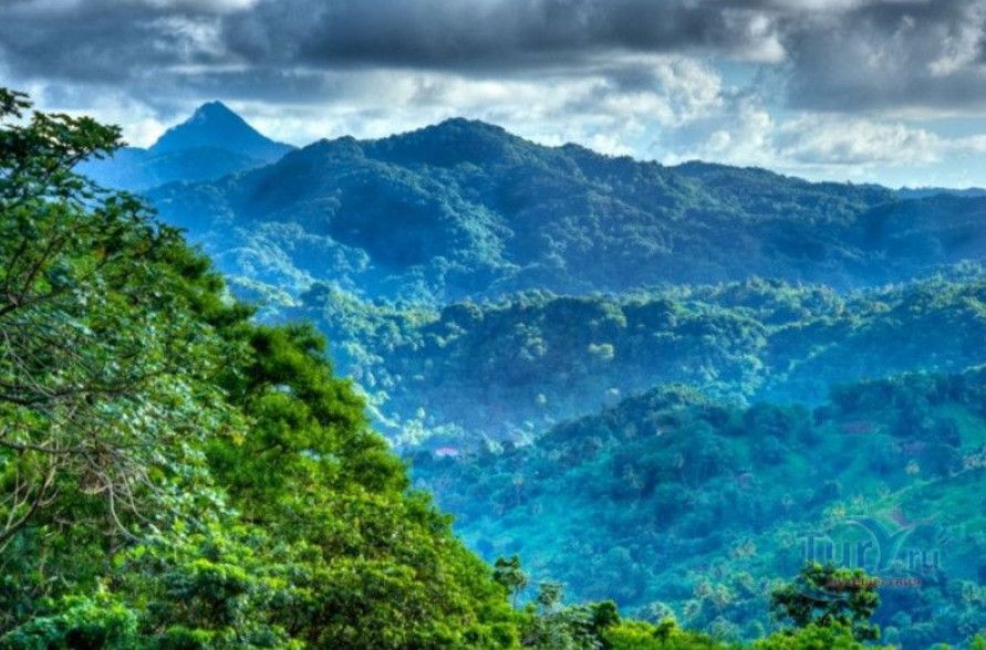 Лесной Заповедник Эдмунд