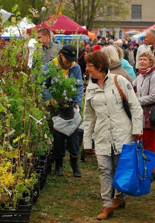 Ярмарка цветов в Тюри