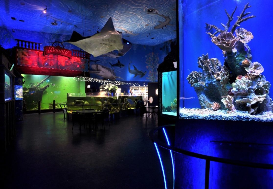 Морской мир