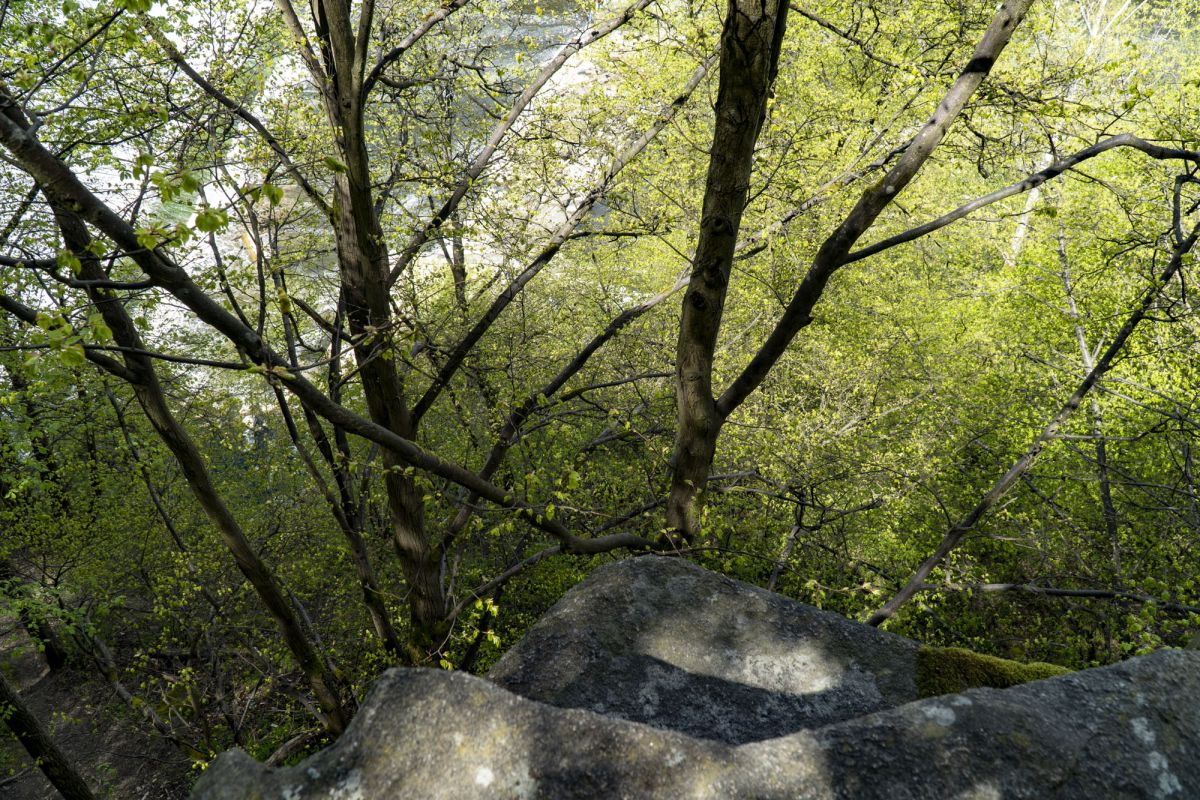 Пешеходный маршрут по южной стороне Тетерева