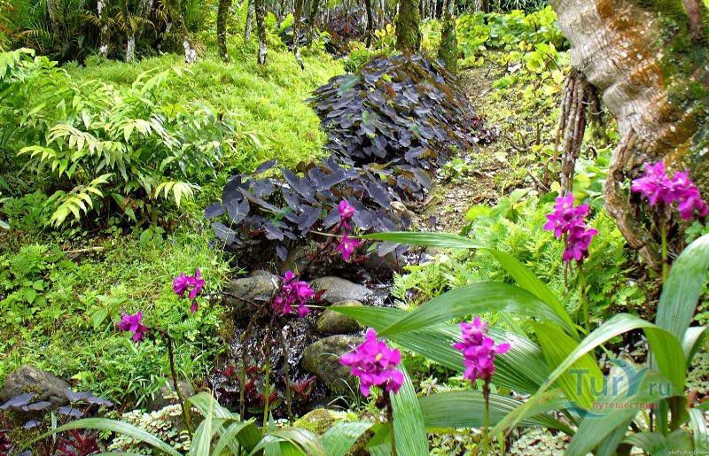 Ботанический сад Балата