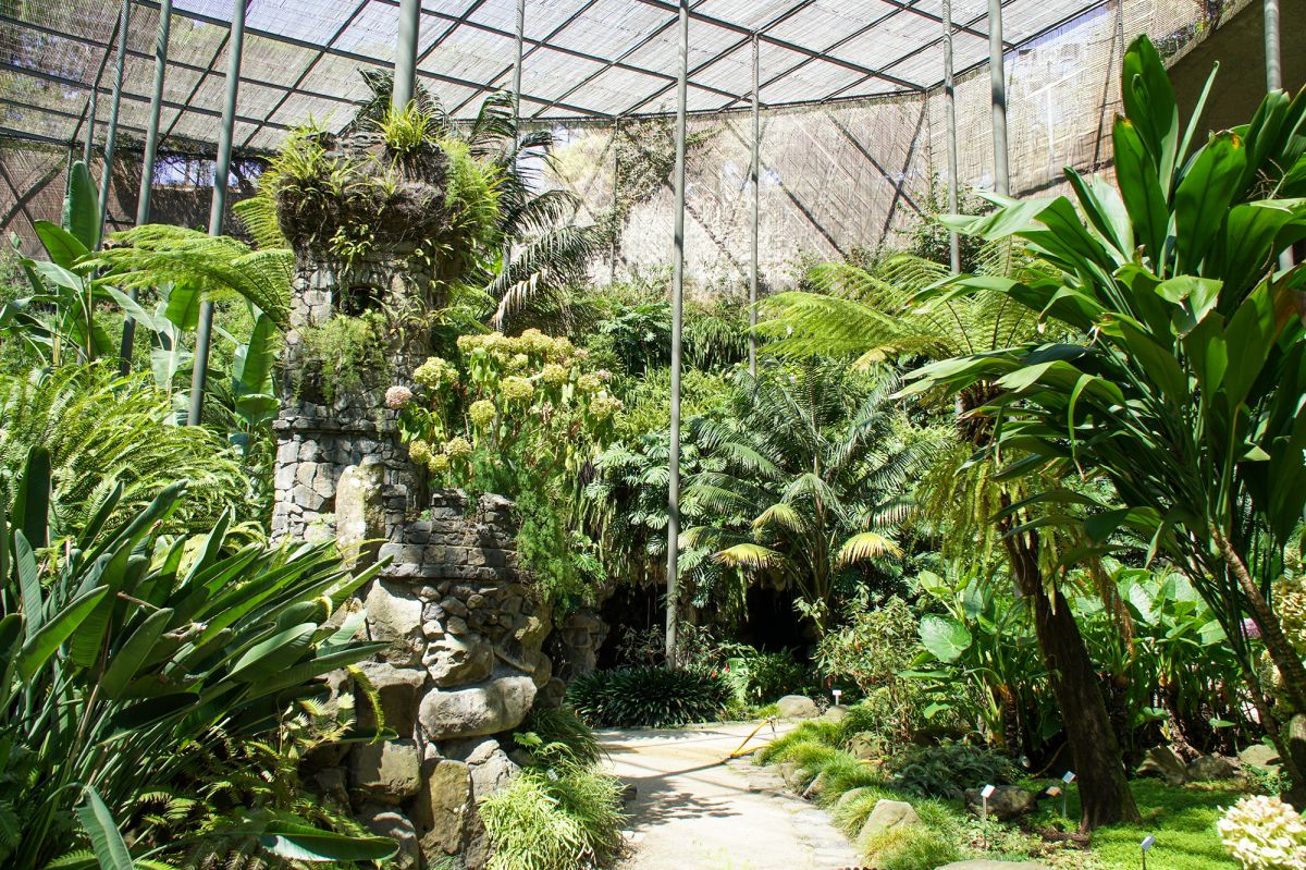 Парк Эдварда VII и Эстуфа Фриа 