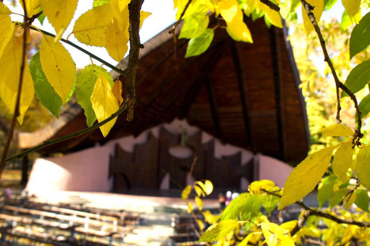 Летняя сцена «Ракушка»