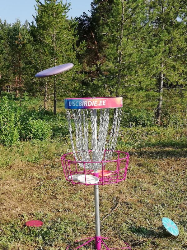 Парк для диск-гольфа Раквере