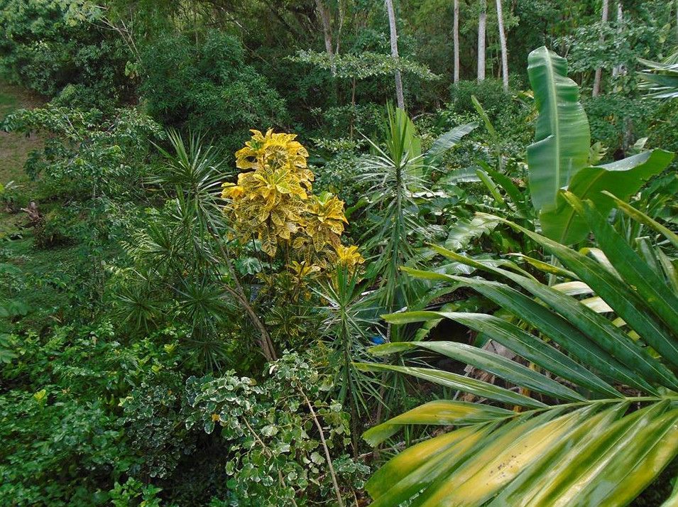 Ферма и Природный Заповедник Приключения  (Adventure Farm & Nature Reserve)