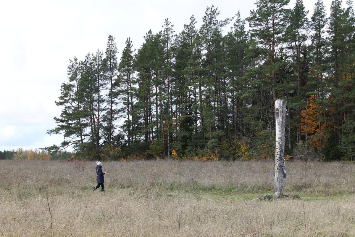 Тубалаская свая