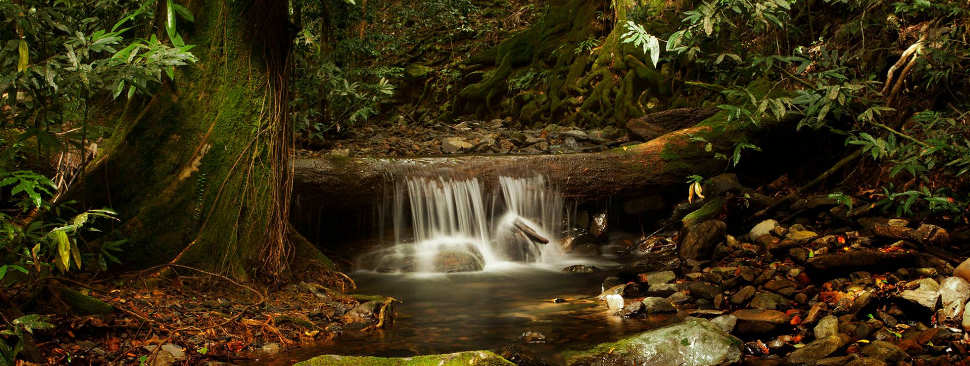 Национальный парк Дейнтри