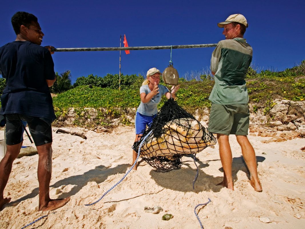 Остров Кузин