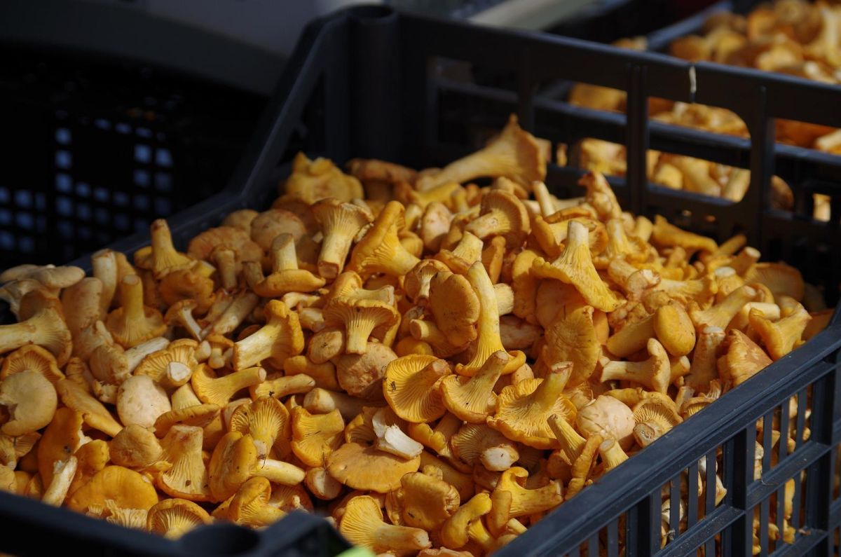 Центральный рынок Тарту