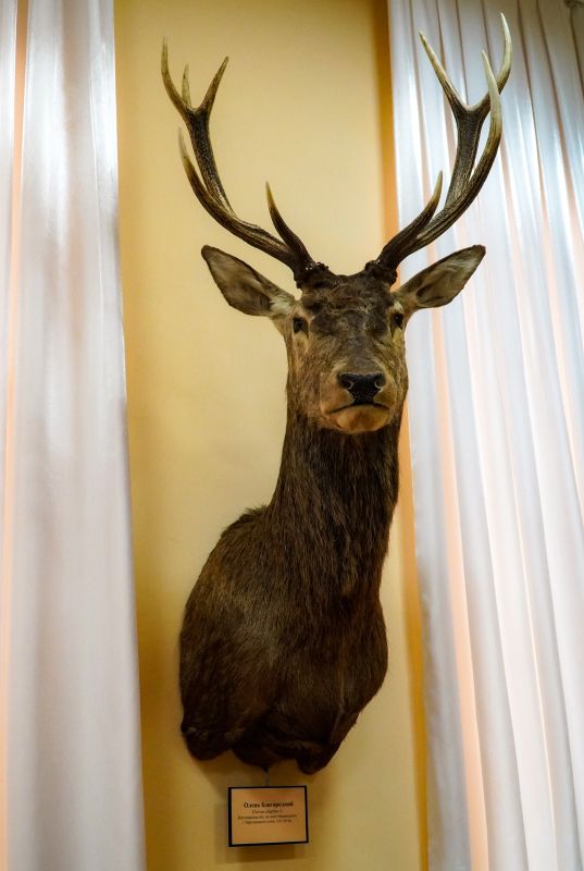 Житомирский музей природы