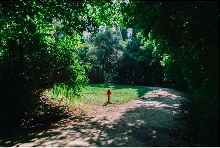 Национальный сад Афин