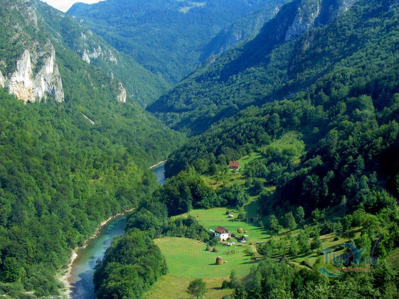 Национальный парк Биоградска гора