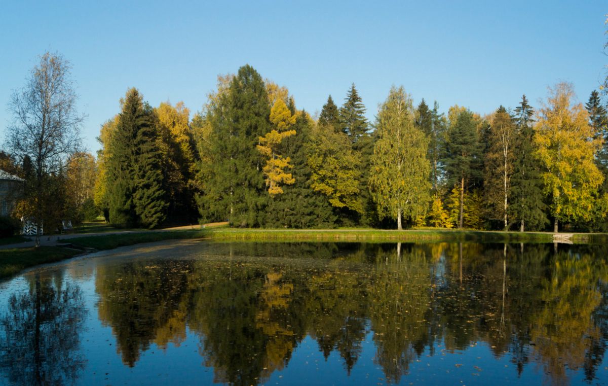 Парадное поле