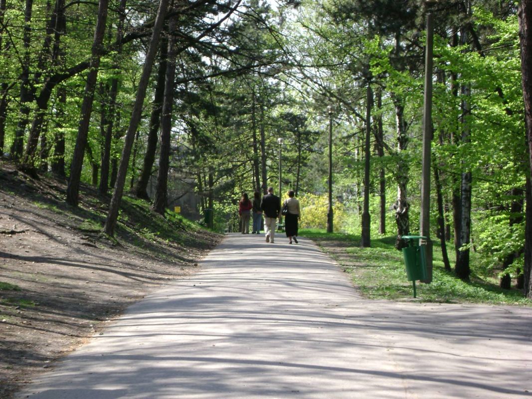 Парк Беднарского