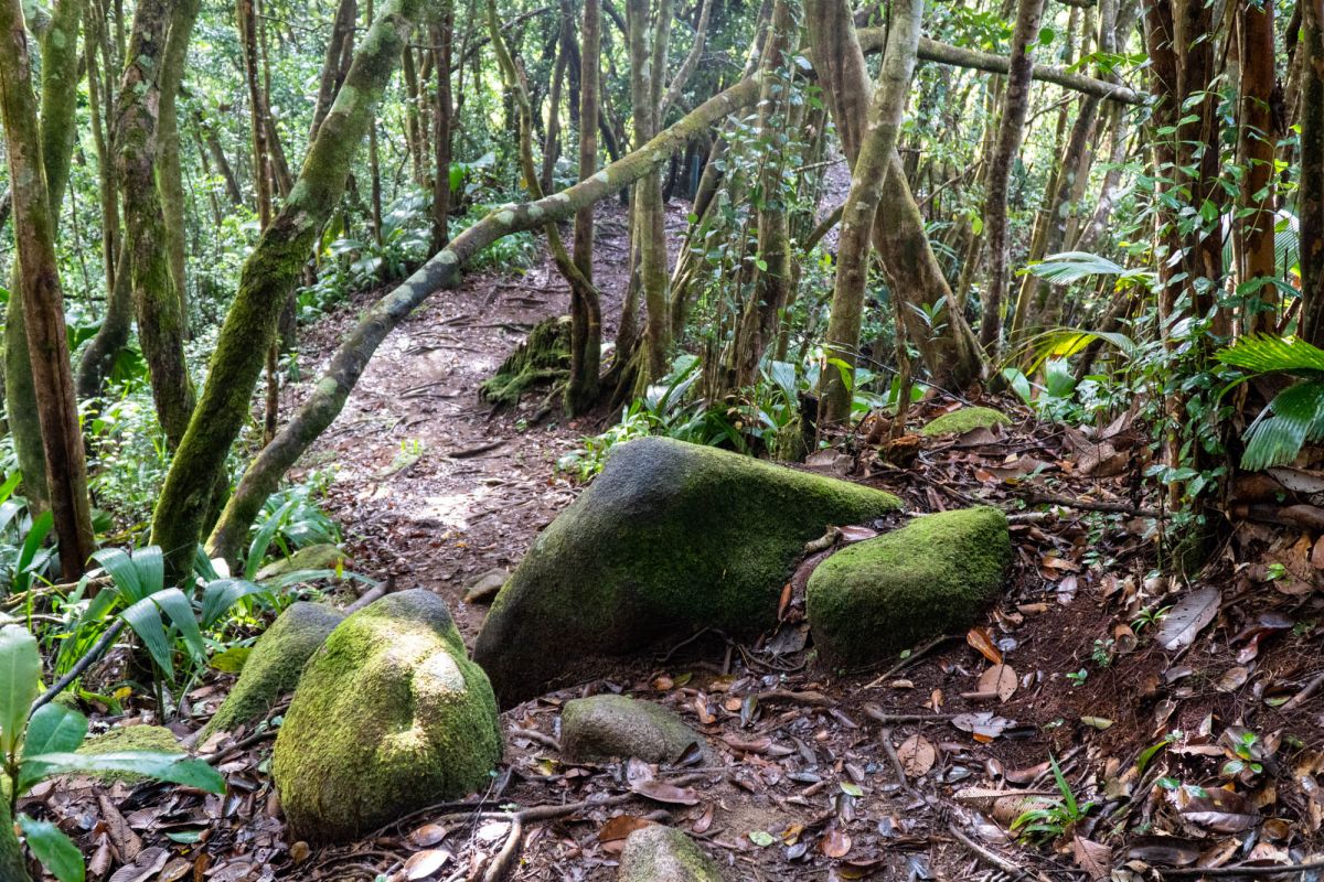 Морн Блан Трейл