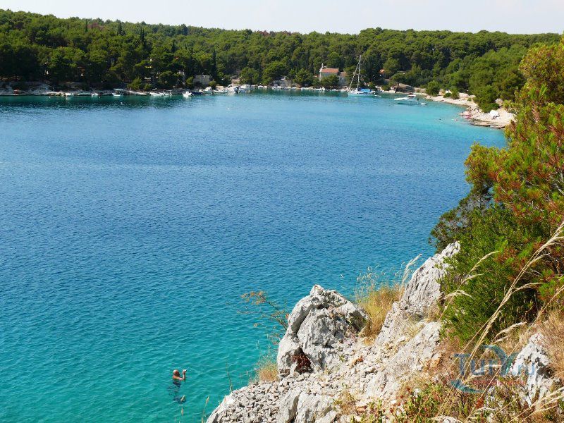 Залив Осибова