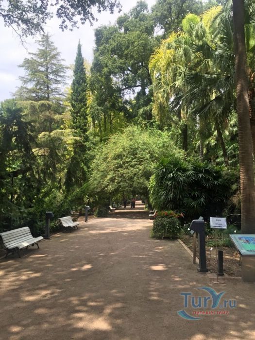 Ботанический Сад Валенсии