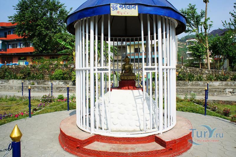 Девид Фоллс (Патале Чханго)