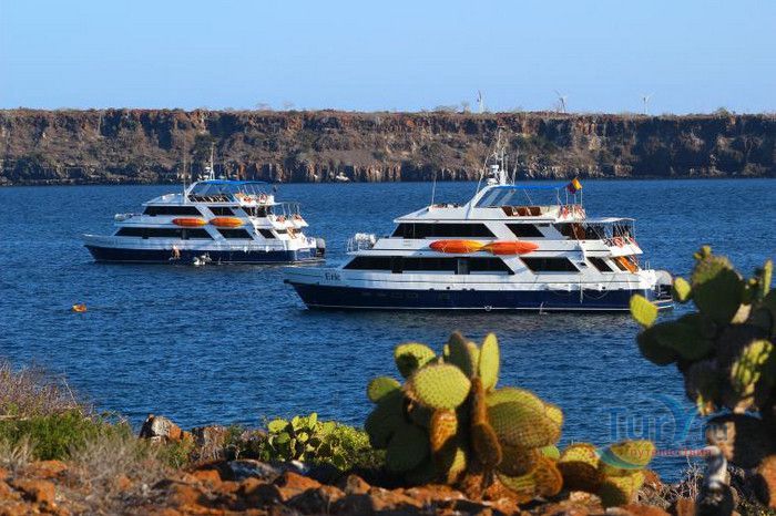 Остров Пласа Сур