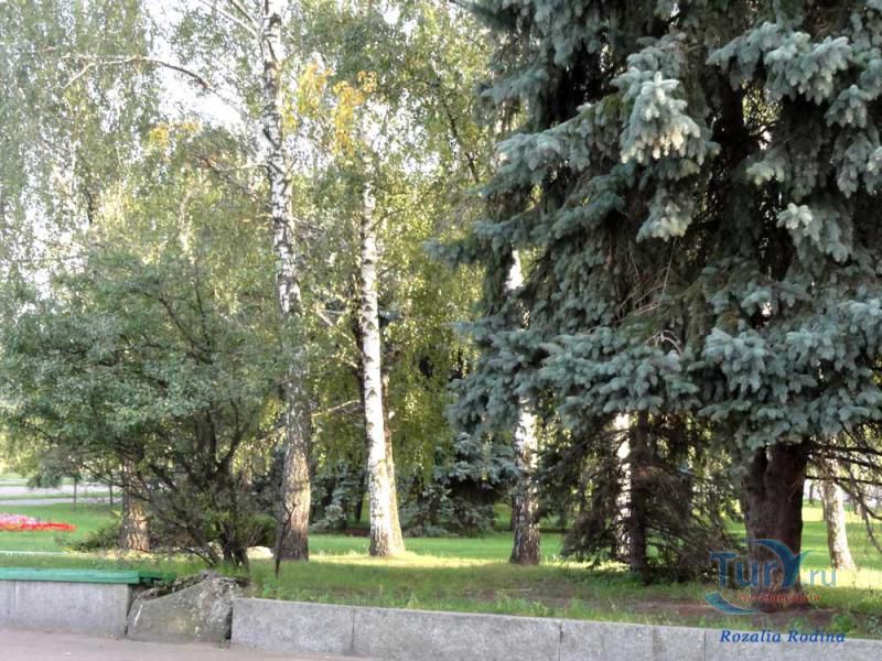 Монумент Вечной Славы в Житомире