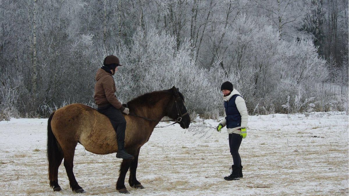 Конный хутор Карла-Эрика