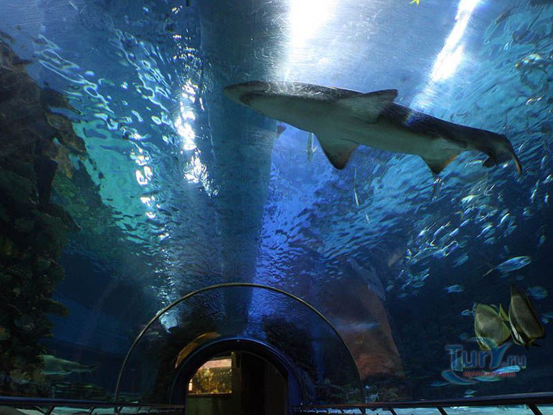 Тропикариум в Будапеште