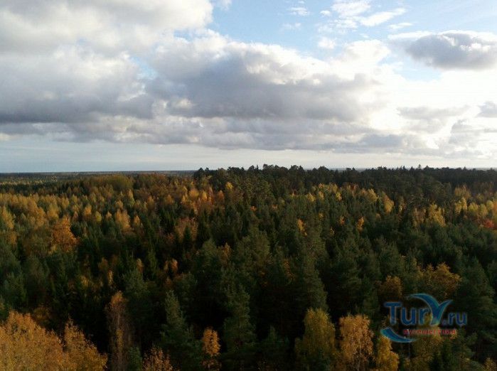 Природный Заповедник Вийдумяэ (Вийдумяэский заповедник)