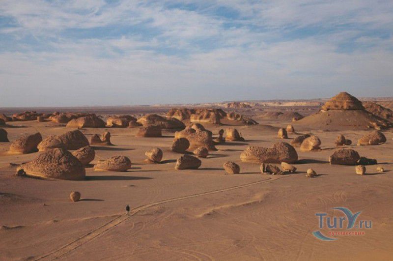 Вади-Аль-Хитан (Долина Китов)