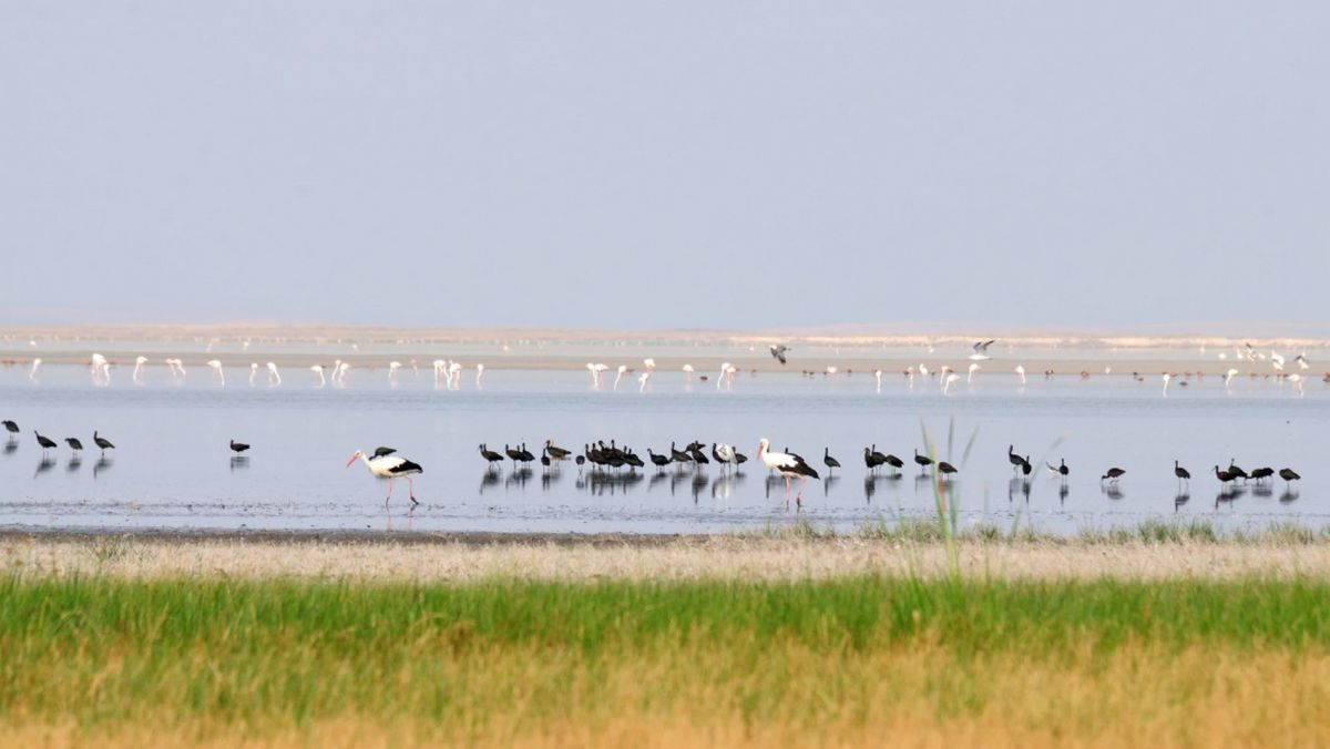 Озеро Сейфе