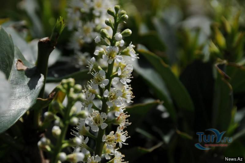 Парк Филармонии 