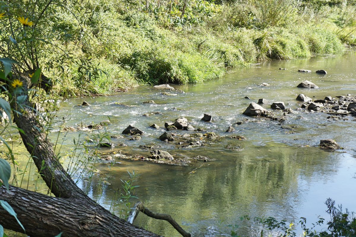 Мост на реке Каменка