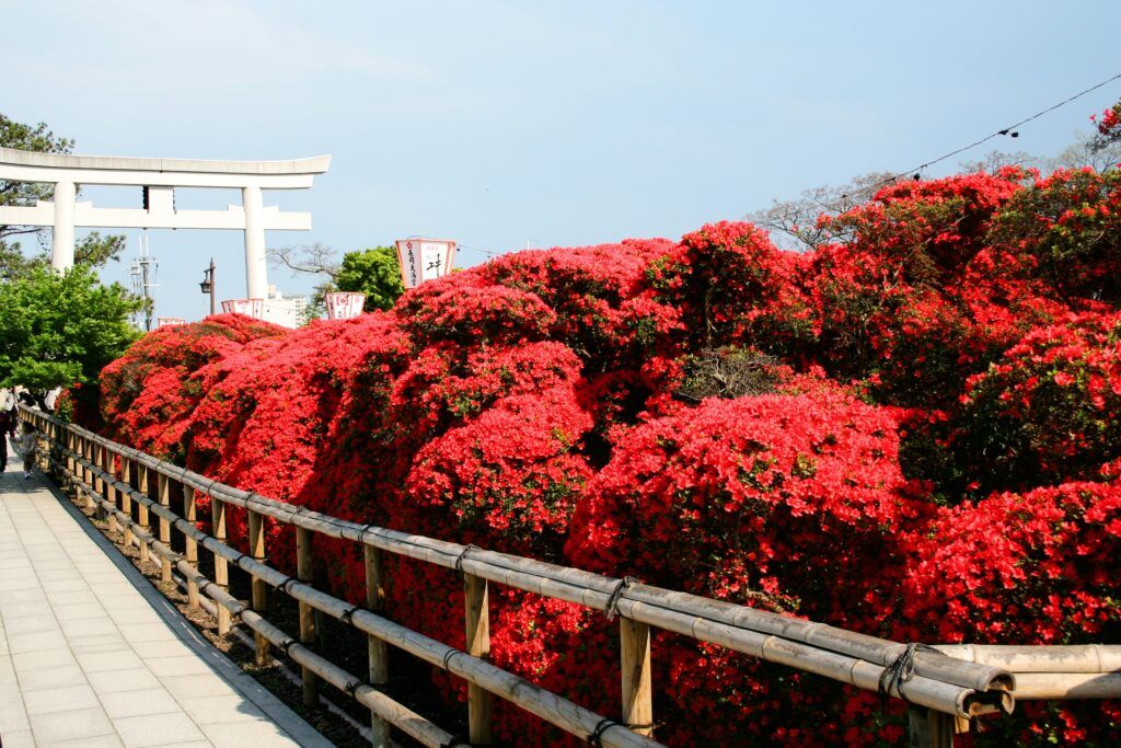 Святилище Нагаока Тенмангу