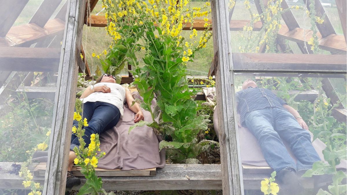 Эко-спа центр 