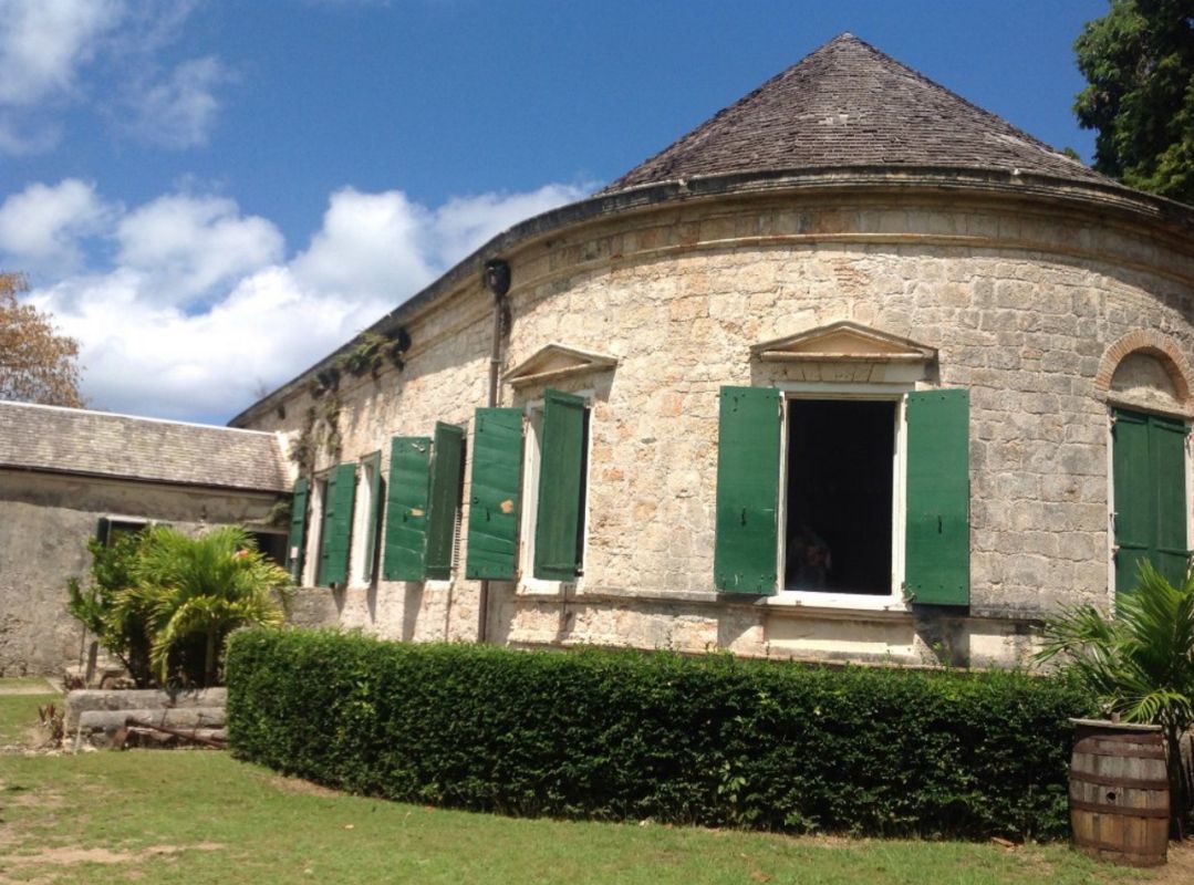 Сахарная Плантация Вим 