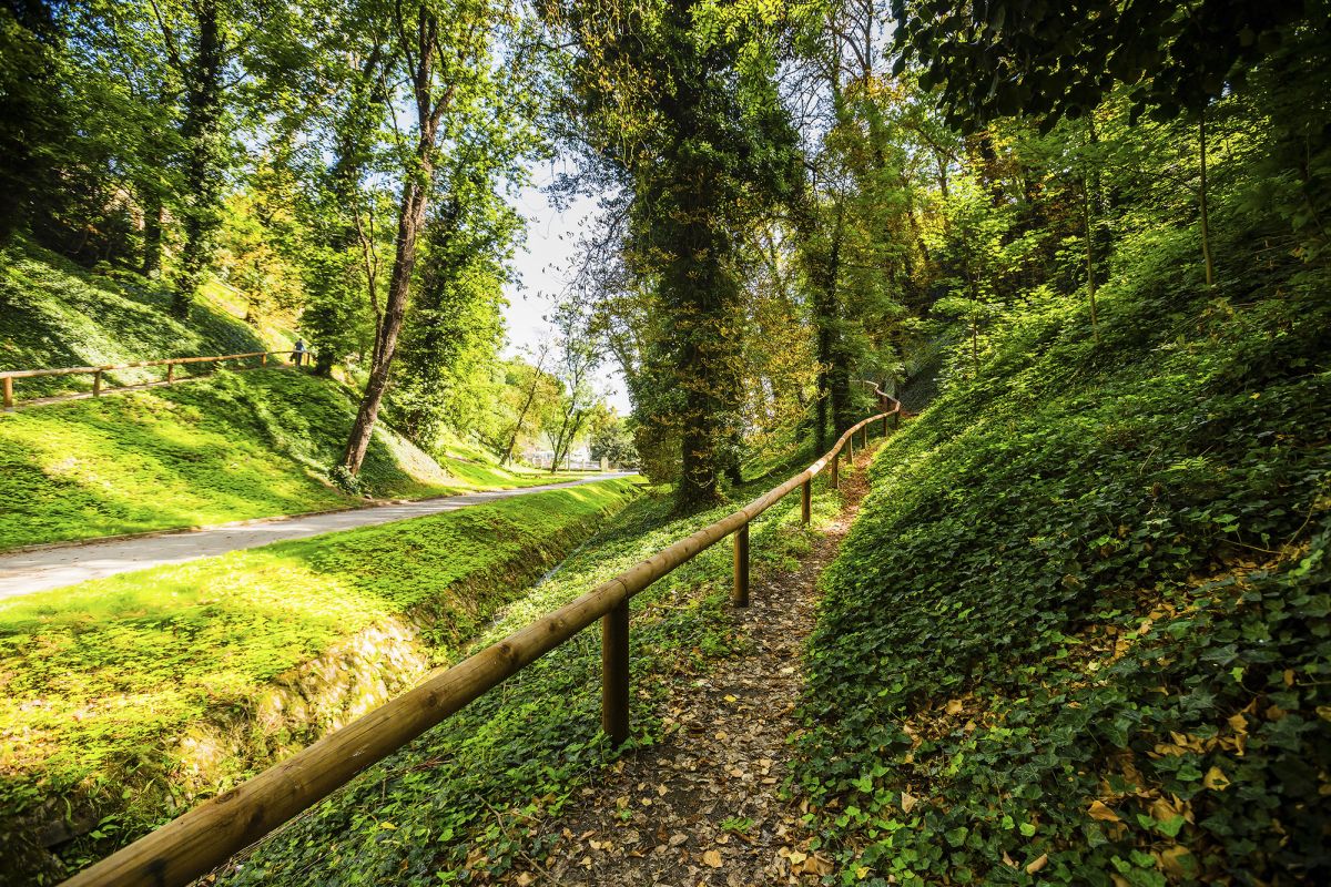 Сады Пражского Града