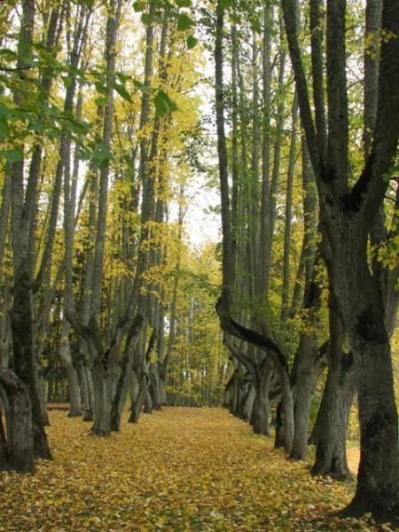 Дом садовника усадьбы Луке