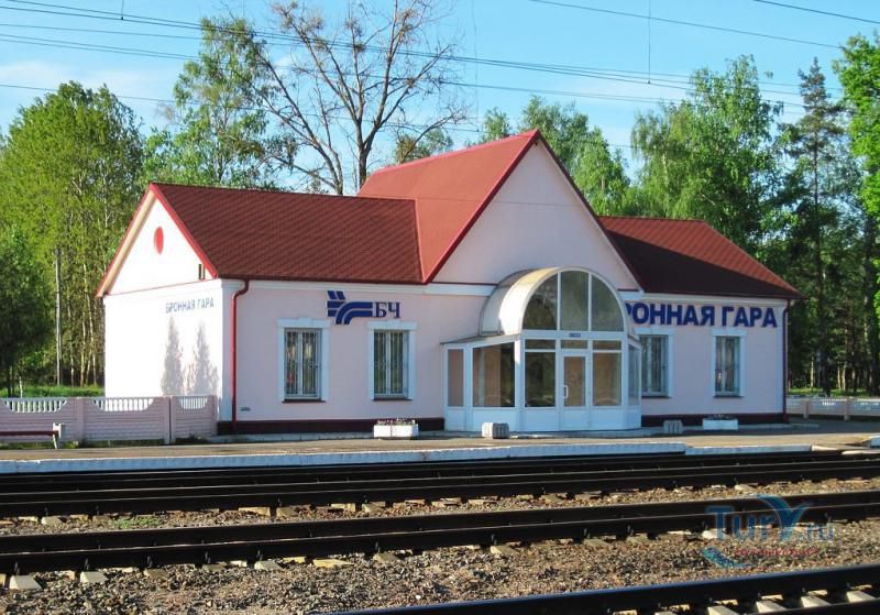 Железнодорожная станция Бронная Гора