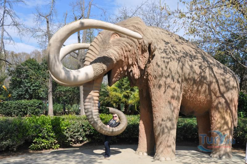 Парк Цитадели (Ciutadella Park)